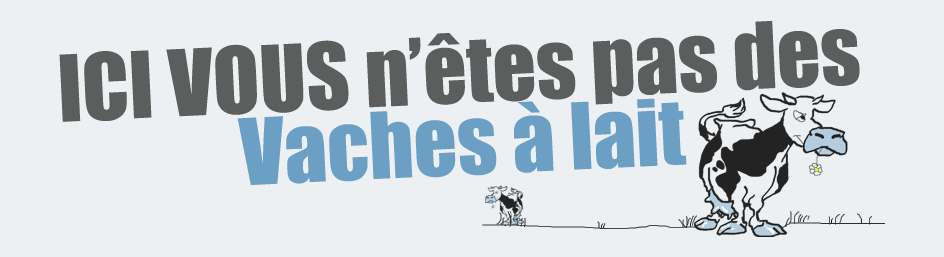 vaches